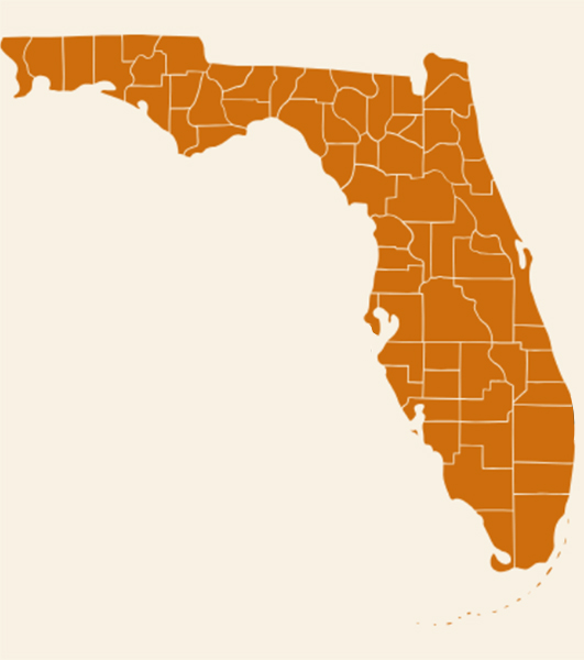 Luxury Home Builders in Florida